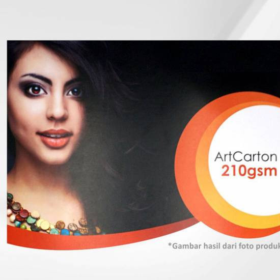 Art Carton 210 gsm A3 Plus 32 x 48 cm