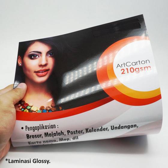 Art Carton 210 gsm A3 Plus 32 x 48 cm