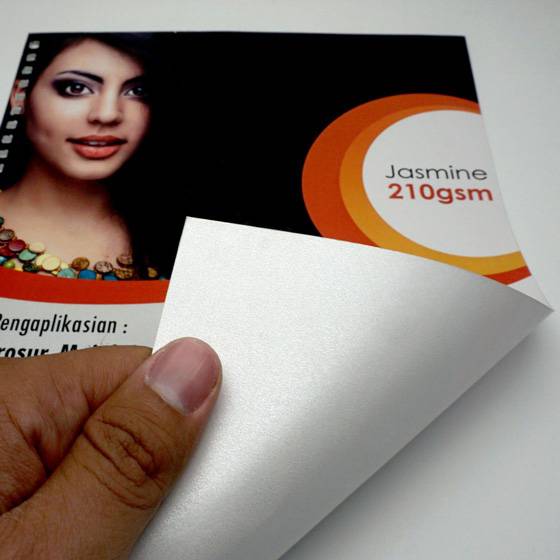 Jasmine A3+ 32 x 48cm
