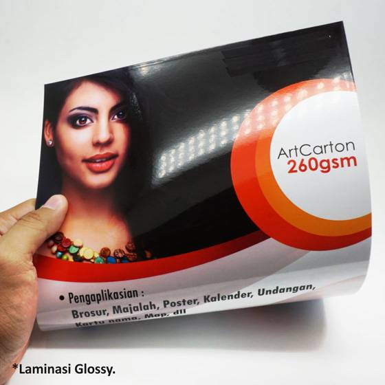 Art Carton 260 gsm A3 Plus 32 x 48 cm